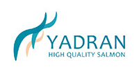 Yardan high quality salomon